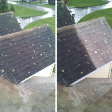 roof cleaning 4