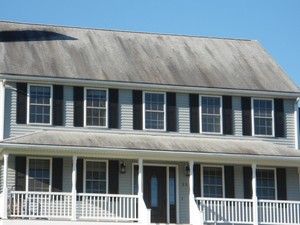 Brian C. Jackson & Son LLC roof cleaning before