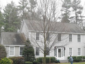 Brian C. Jackson & Son LLC roof cleaning before