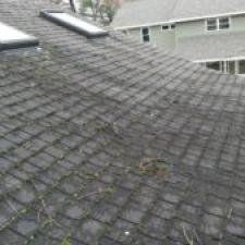 Did you know that insurance companies can threaten to cancel your homeowner’s policy because of dirty roof shingles???