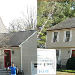 Softwashing Roof Cleaning Andover, MA