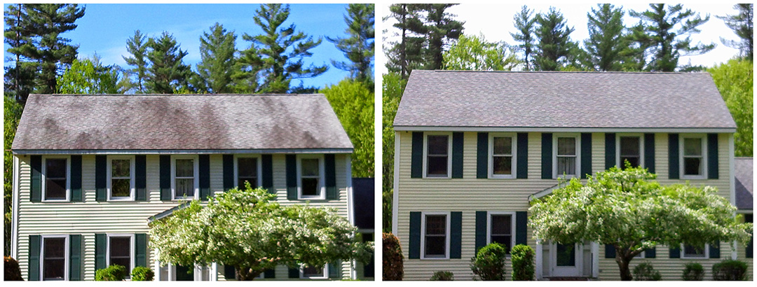 Gallery roof cleaning